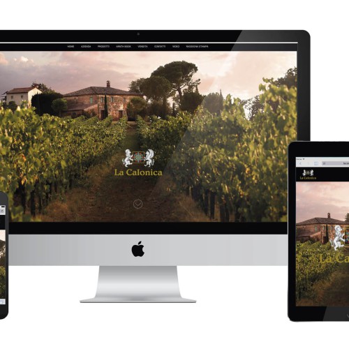 Ideazione e realizzazione sito web aggiornabile dal Cliente